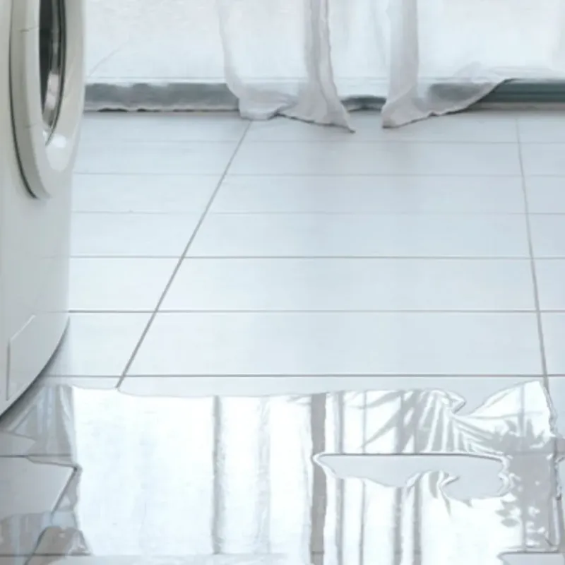 Appliance Leak Cleanup in Lake Park, FL